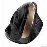 Мышь беспроводная Genius Ergo 8250S Champagne/Black Wireless